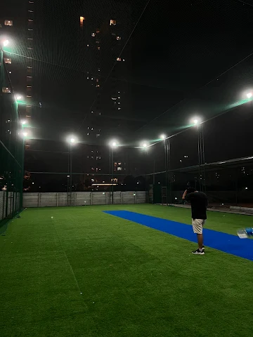 Turf photo 2