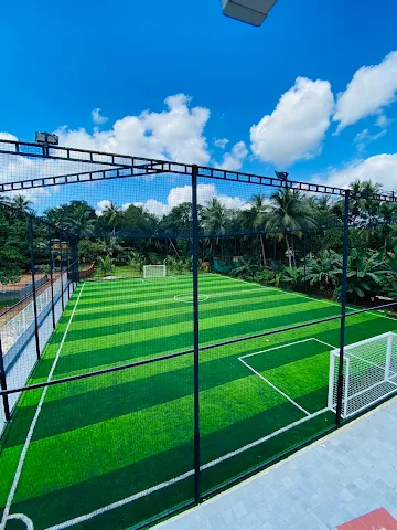 Turf photo 2