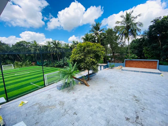 Turf photo 4