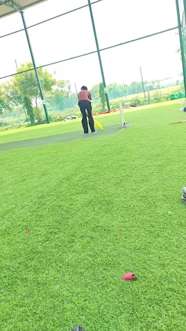 Turf photo 2