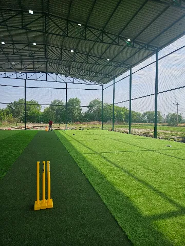 Turf photo 5