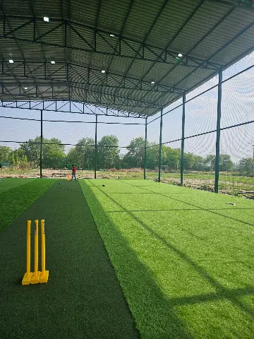 Turf photo 4