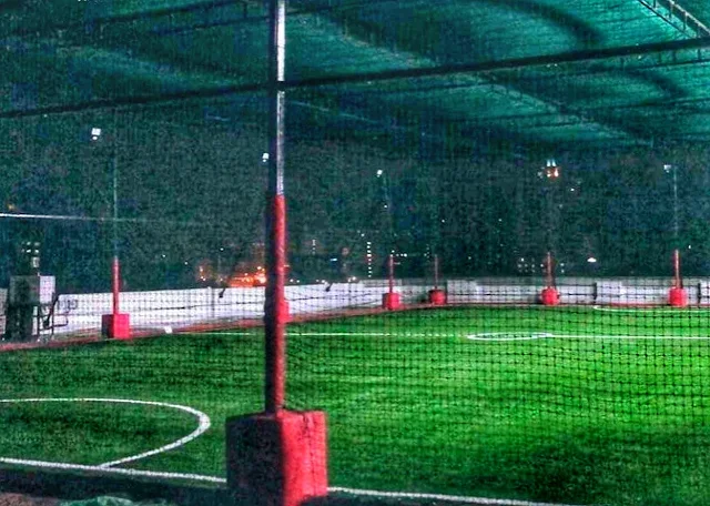 Turf photo 5