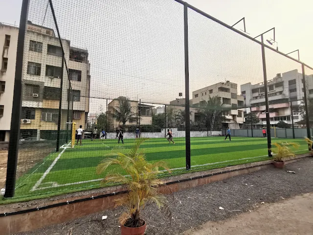 Turf photo 3
