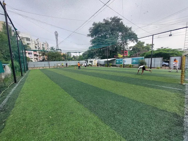Turf photo 2