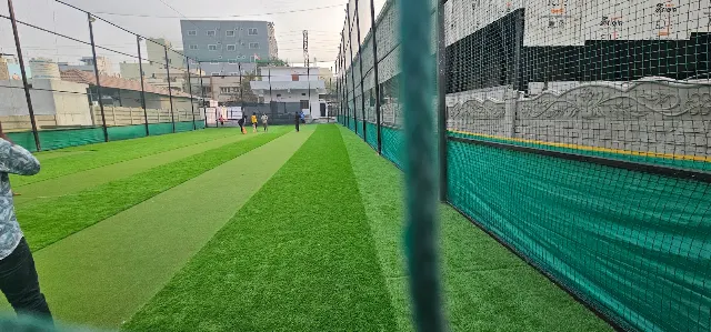 Turf photo 3
