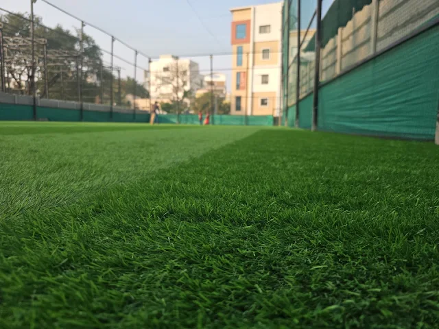 Turf photo 6