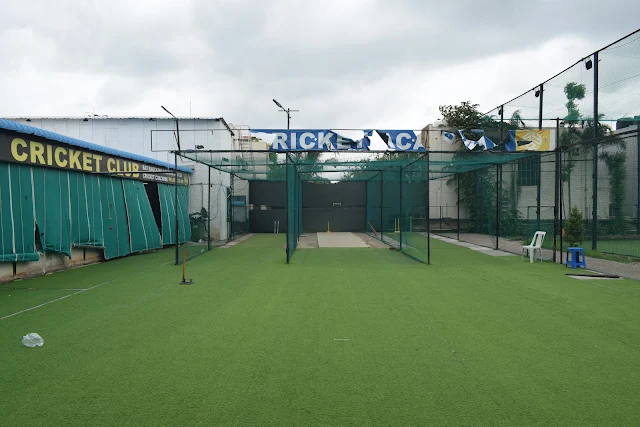 Turf photo 2