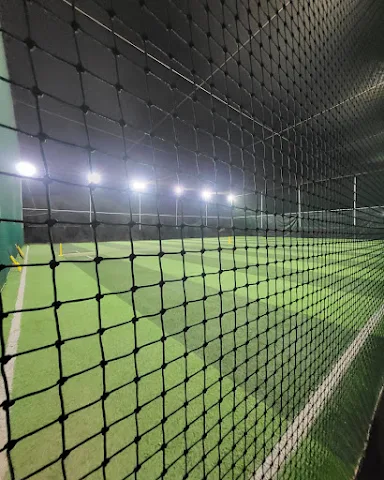 Turf photo 3