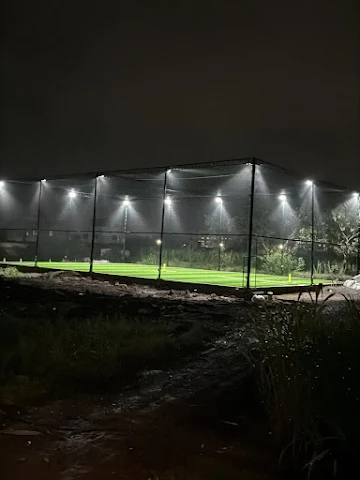 Turf photo 2