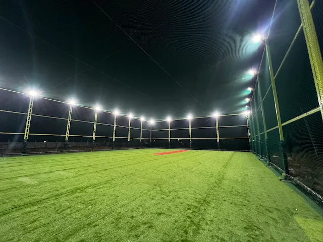 Turf photo 2
