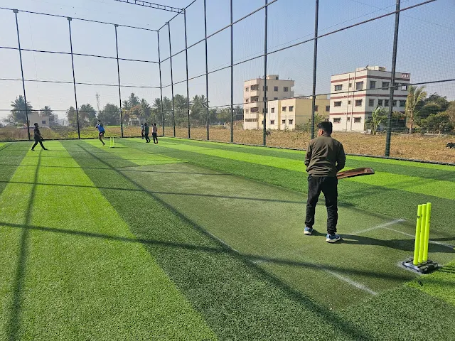 Turf main photo