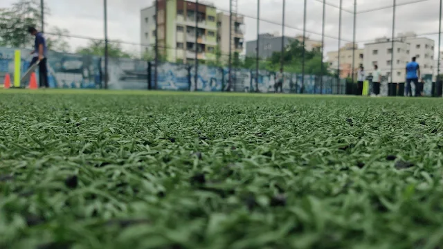 Turf photo 2