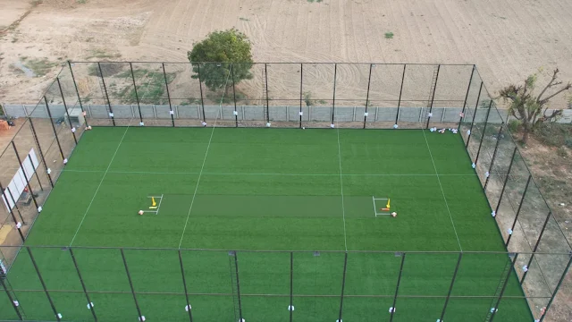 Turf photo 4