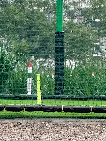Turf photo 2