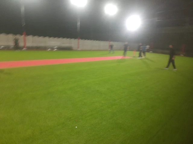 Turf main photo
