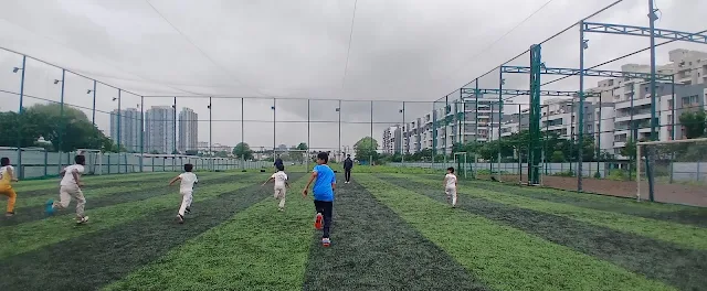 Turf main photo