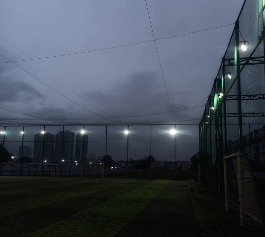 Turf photo 5