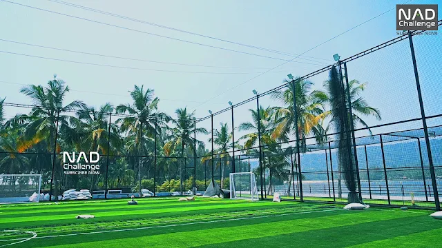 Turf main photo