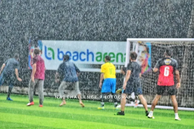 Turf photo 3