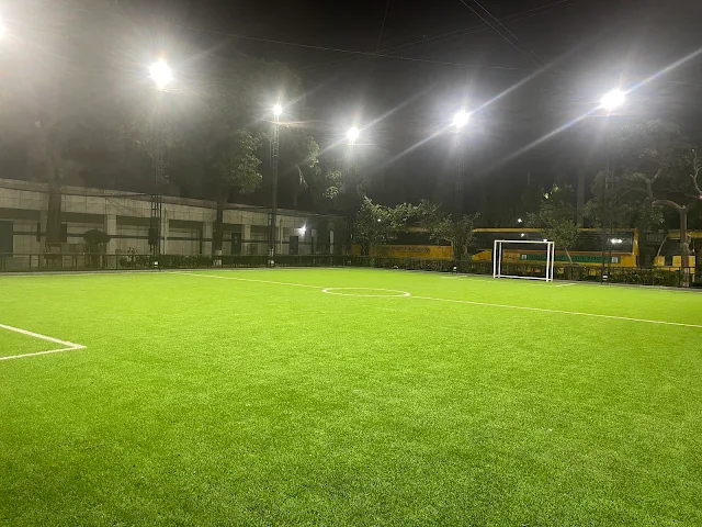 Turf photo 4