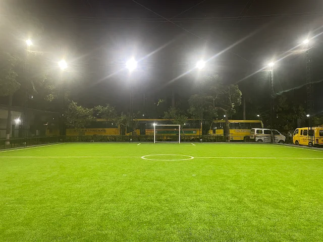 Turf photo 2