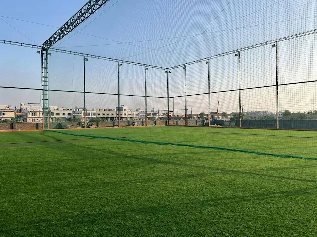 Turf photo 6