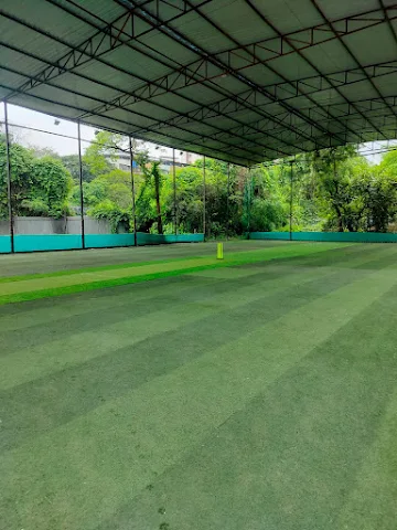 Turf photo 2