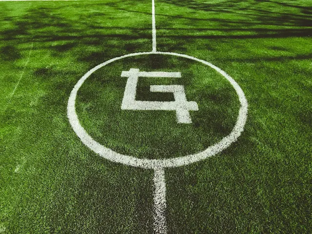 Turf photo 4