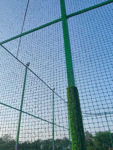 Turf photo 3