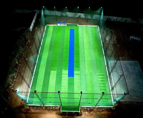 Turf photo 7