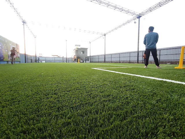 Turf photo 2