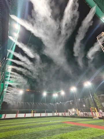 Turf photo 2
