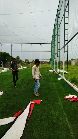 Turf photo 2