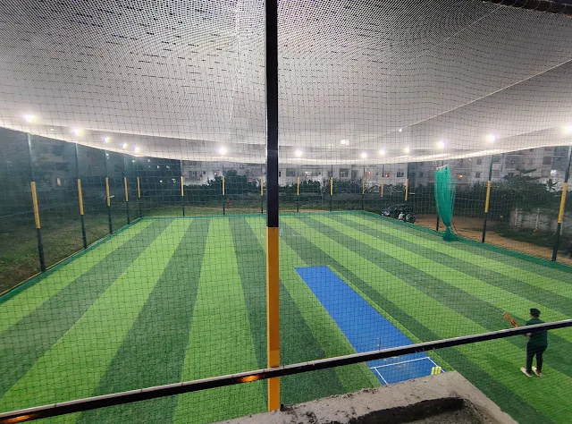 Turf photo 2