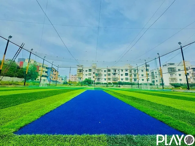 Turf main photo