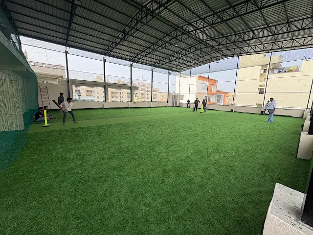 Turf photo 3