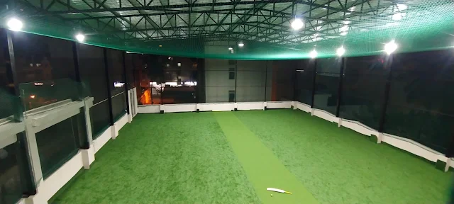 Turf photo 2