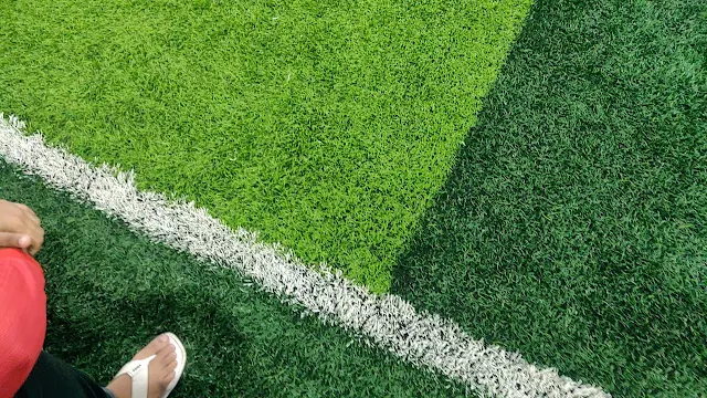 Turf photo 4