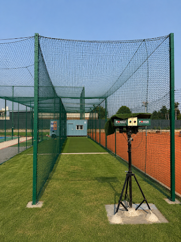 Turf photo 2