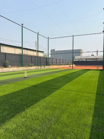 Turf photo 3