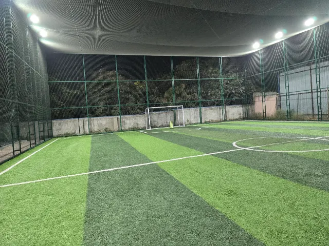 Turf photo 3