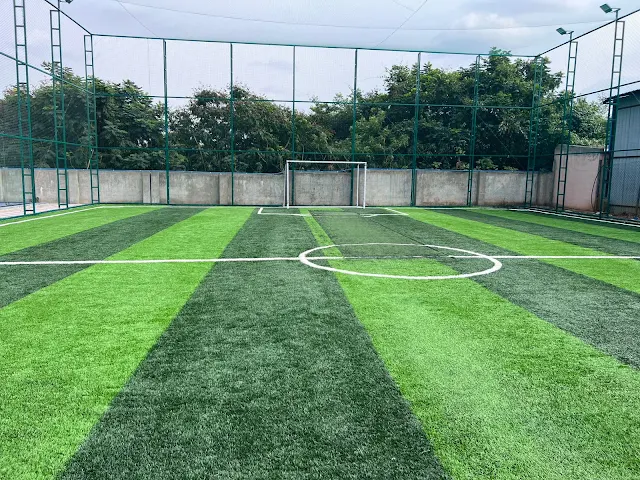 Turf photo 2