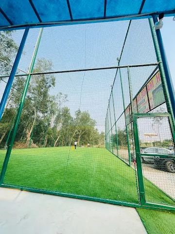 Turf photo 2