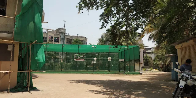 Turf main photo