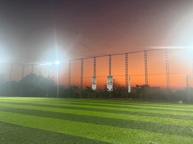 Turf photo 2