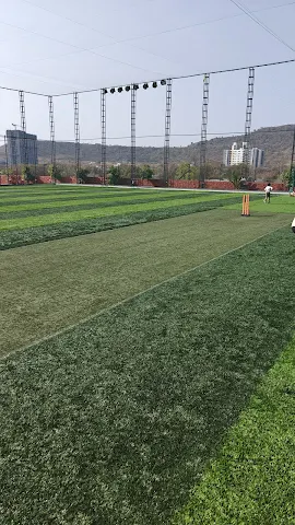 Turf photo 6