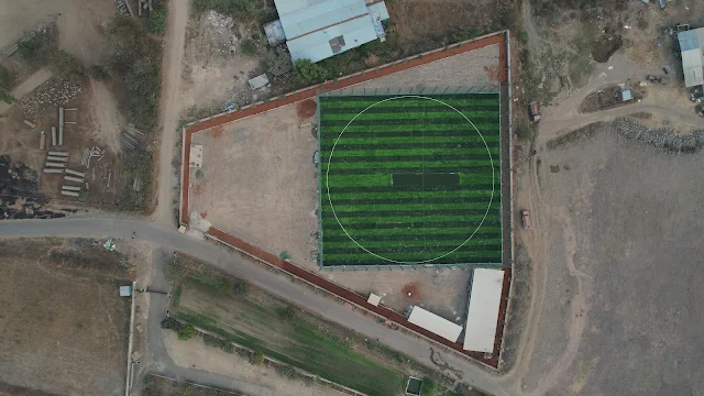 Turf photo 4