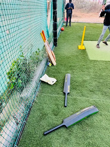 Turf photo 7