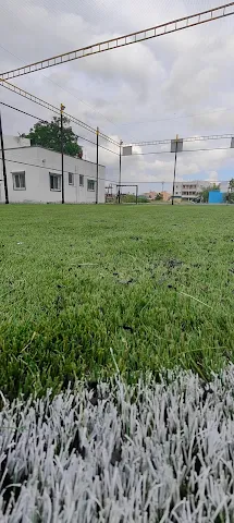 Turf photo 5